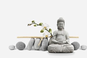 佛教如何看待命运和生辰八字c(佛学如何看待八字算命)