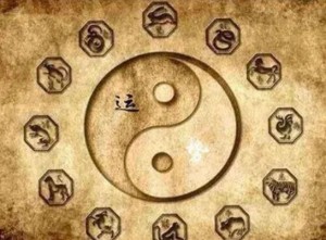 “命理”和“命例”的区别(命例分析)