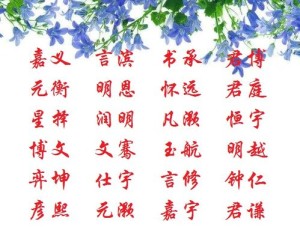宝宝起名大全,寓意吉祥,传承文化的名字(宝宝取名的讲究和文化内涵)